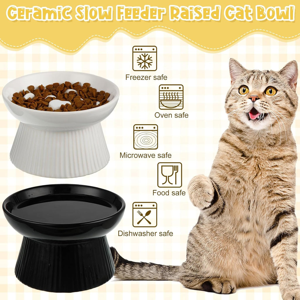 Tioncy 2 Pcs Ceramic Elevated Slow Feeder Cat Bowl, Black, White