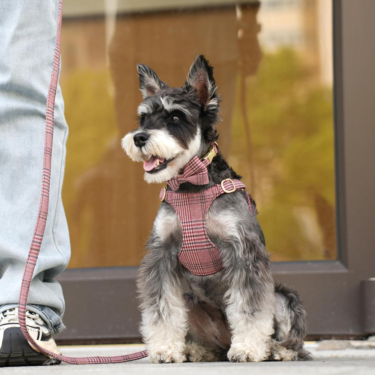 Beirui Cute Small Dog Harness and Leash Set Bowtie, Brown,XS,Chest 13-28"