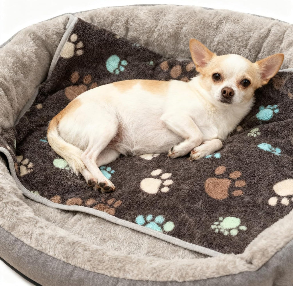 12 Pcs Small Dog Blanket Fleece Puppy Blankets Washable Pet Blankets for Cats Soft Flannel Paw Printed Throw for Guinea Pig Indoor Kittens Doggie (23 X 16 Inch,Dark Gray)