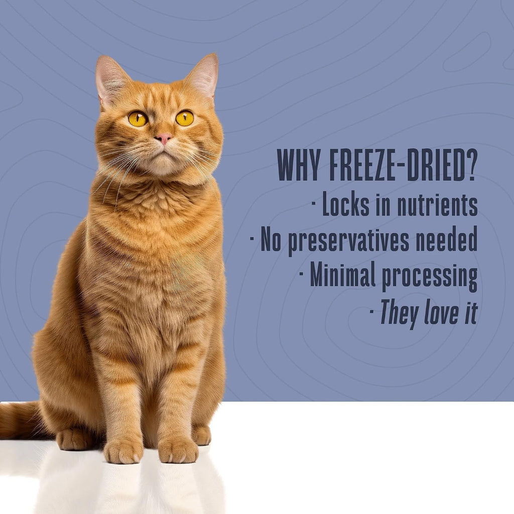 Whole Life Cat Just One Shrimp Freeze Dried Cat Treats - .7 oz (Pack of 1)