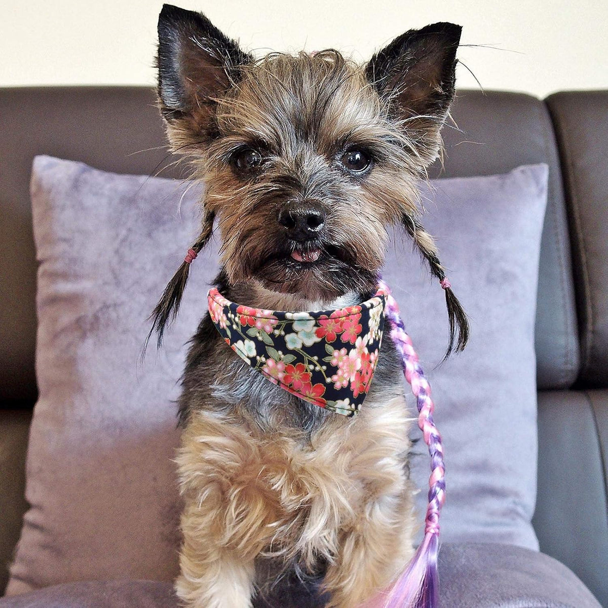 3PCS Bow Tie Dog Collar and Leash Set Plaid/Camo/Dots/Flower Dog Bandanas with Bell 3 Size Adjustable for Small Dogs Puppies and Cats (XS, Black Flower)