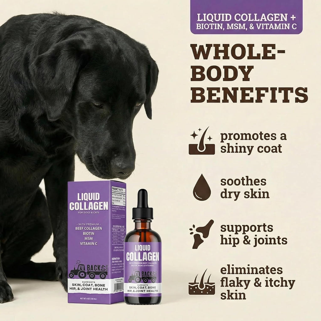 Back 40 Dogs Premium Grass-Fed Liquid Collagen for Dogs Skin and Coat, Hips and Joints | Allergy Relief with Biotin, Vitamin C and MSM for Joint, Nails & Immunity | Made in USA