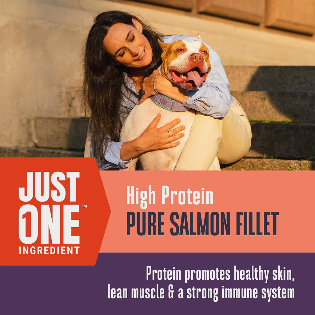 Whole Life Dog Just One Salmon Freeze Dried Dog Treats - Human Grade High Protein Food, Healthy Training Snacks, Freeze Dried Salmon Food Toppers, USA Made Natural Treats - 8 oz (Value Pack of 1)