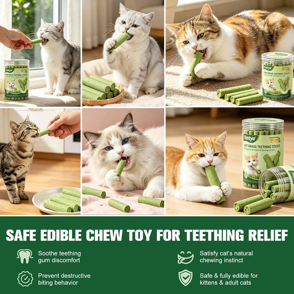 Cat Grass Teething Sticks for Cats, 200g/7.05oz Natural Edible Cat Chew Sticks with Real Chicken & Cat Grass, Teeth Cleaning, Hairball Control & Teething Relief Treats for Cats Over 3 Months Old