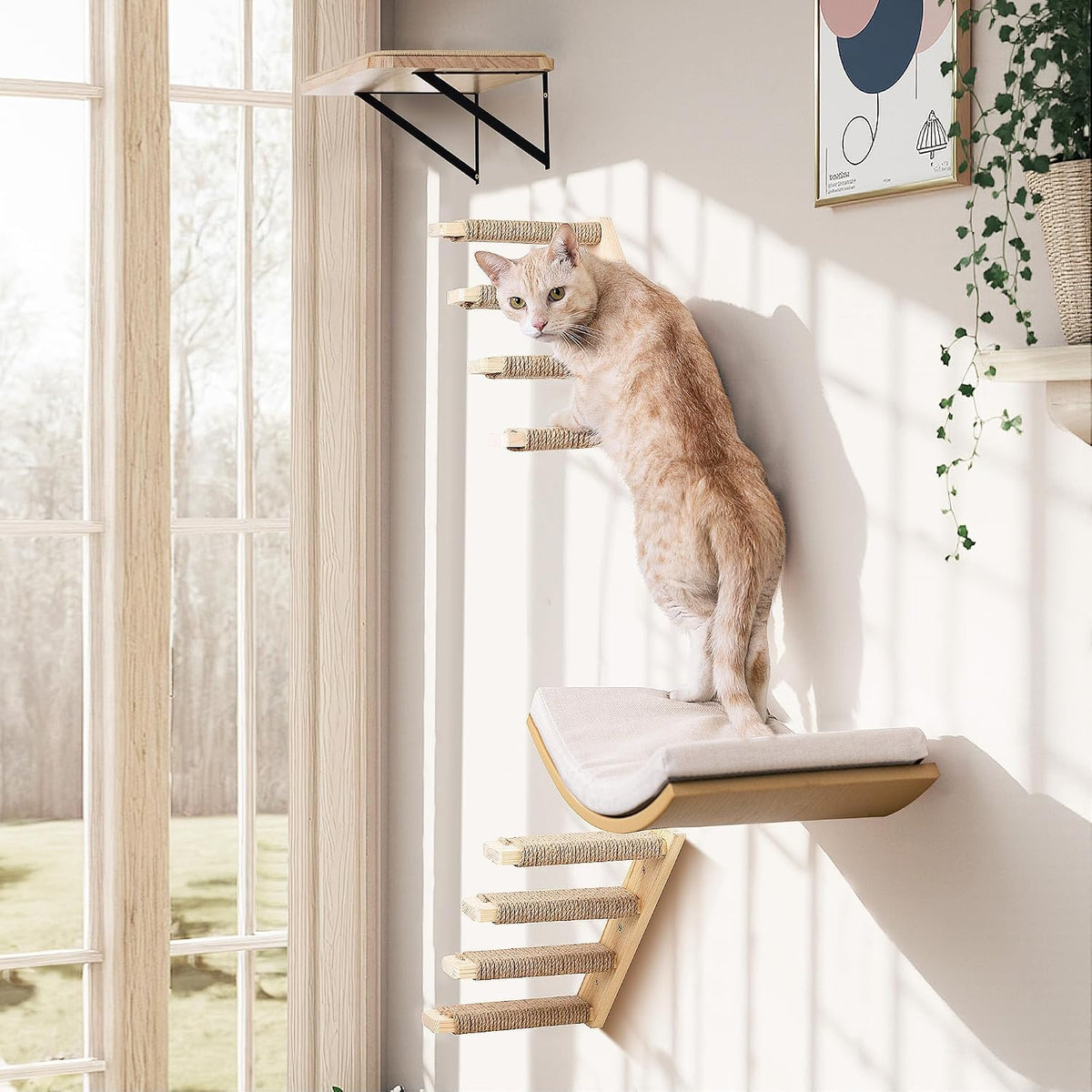 Wooden Cat Wall Steps Shelves Set, Wall Mounted Cats Shelves with Foam Cushion Bed, Flat Perch & 2 Four-Step Cat Ladders for Climbing