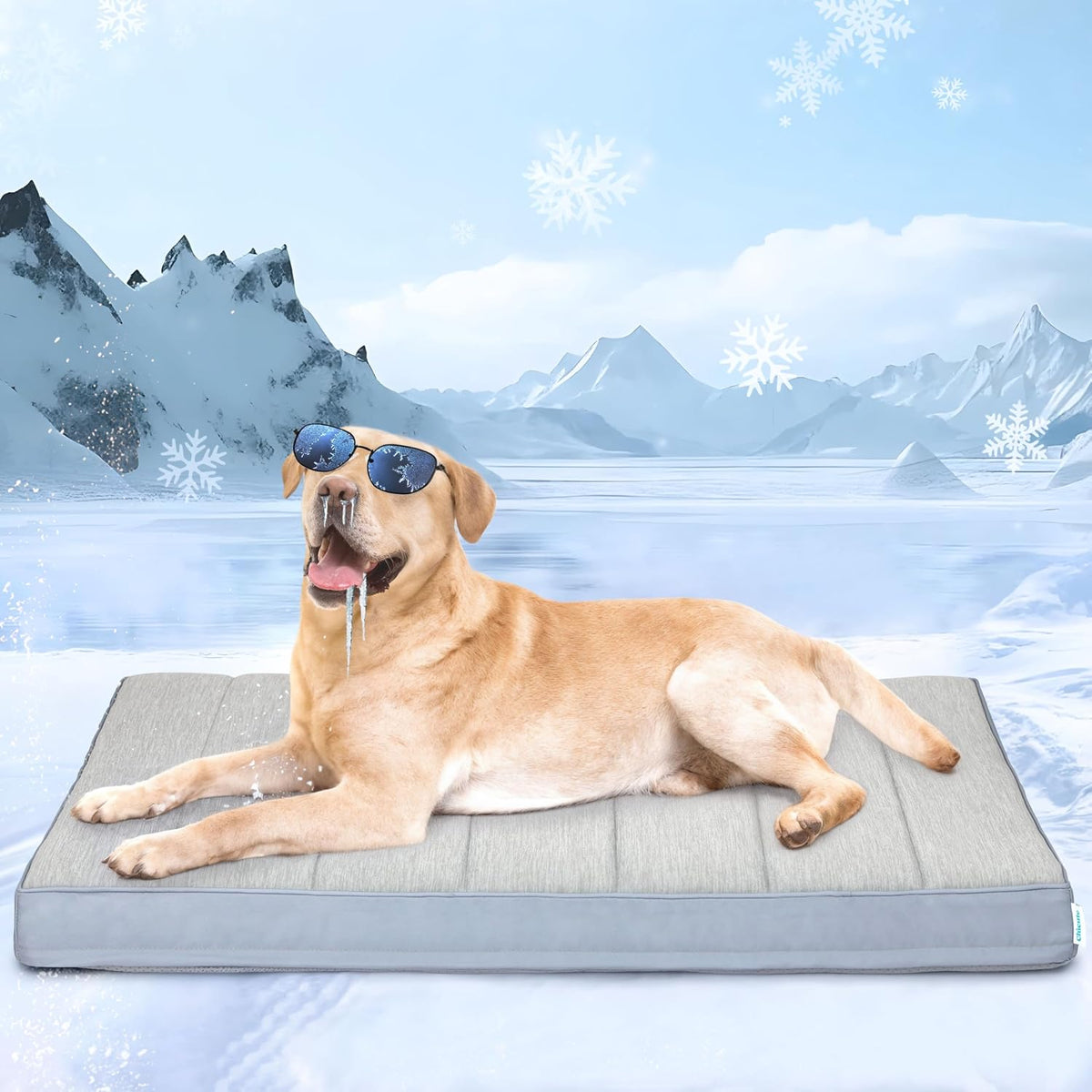 Cooling Dog Bed for X Large Dogs, QMAX>0.5 Waterproof Pet Beds