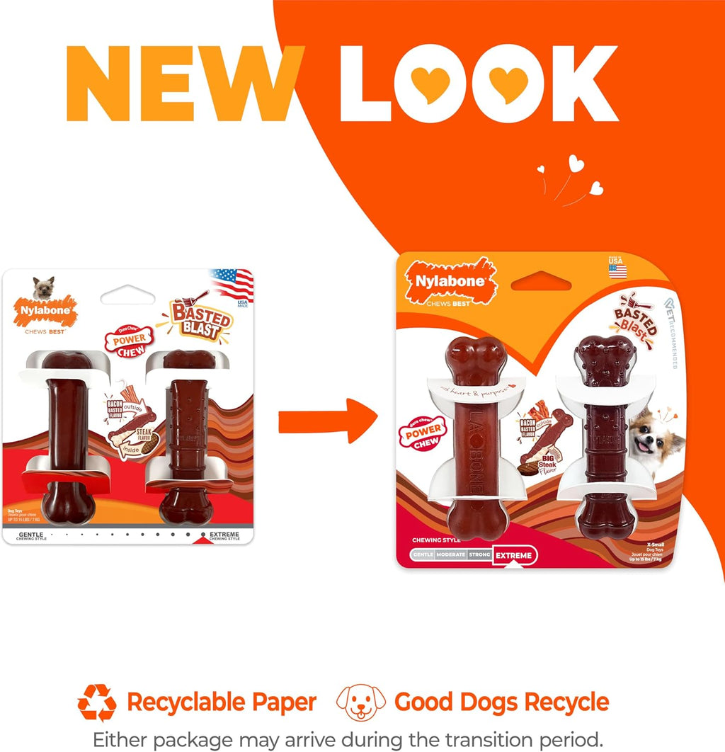 Nylabone Power Chew Basted Blast Dog Chew Toys, X-Small, 2 Count