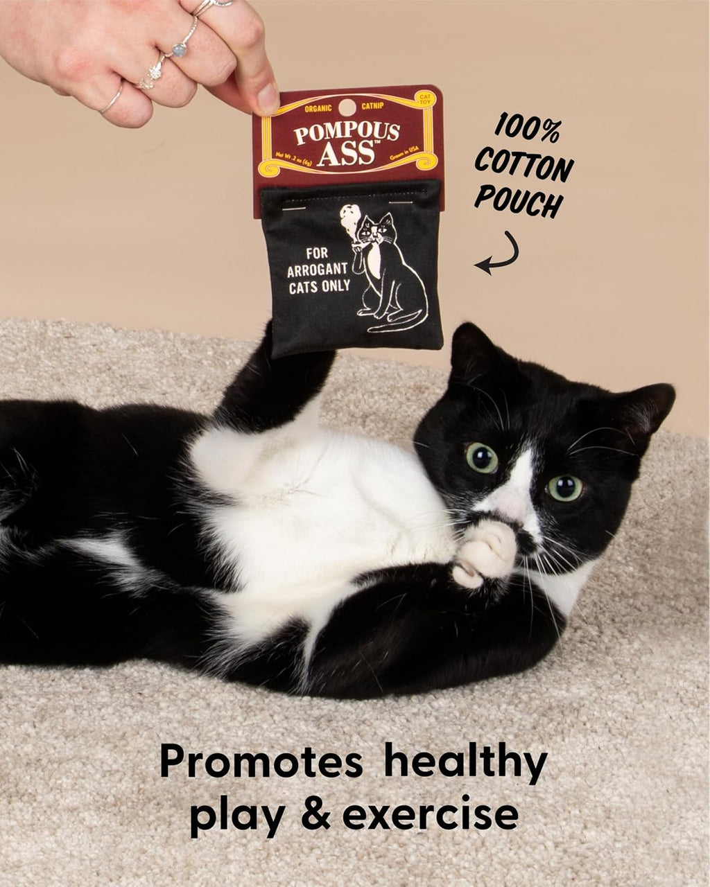 Blue Q Catnip - Cute Cat Toys for Biting with Funny Graphics - Pompous.