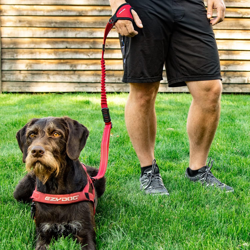 EzyDog Handy 48 Bungee Dog Leash, 48" Hand Free Glove Running Leash - Black