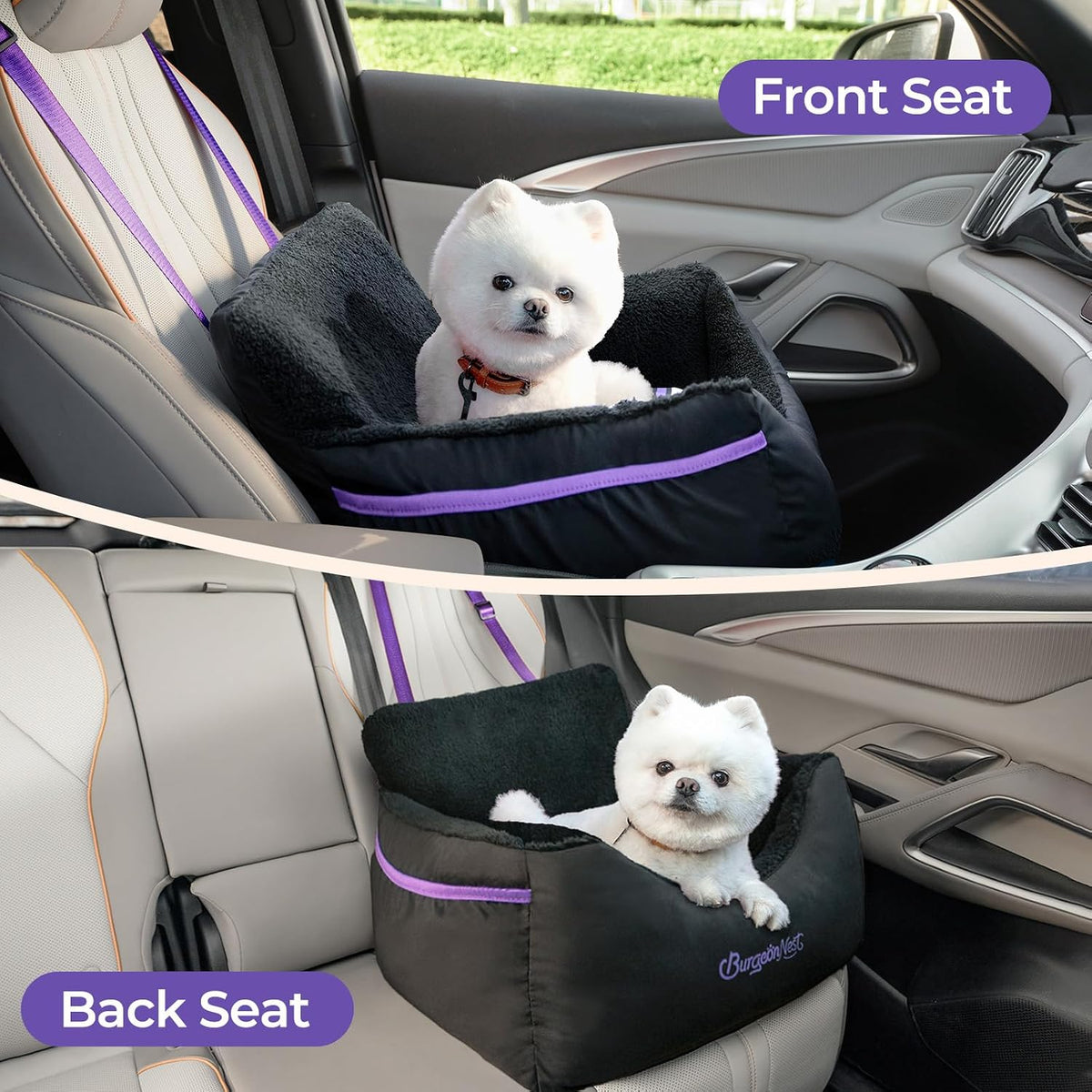 BurgeonNest Dog Car Seat for Small Dogs & Cats Under 25 lbs, Black Purple