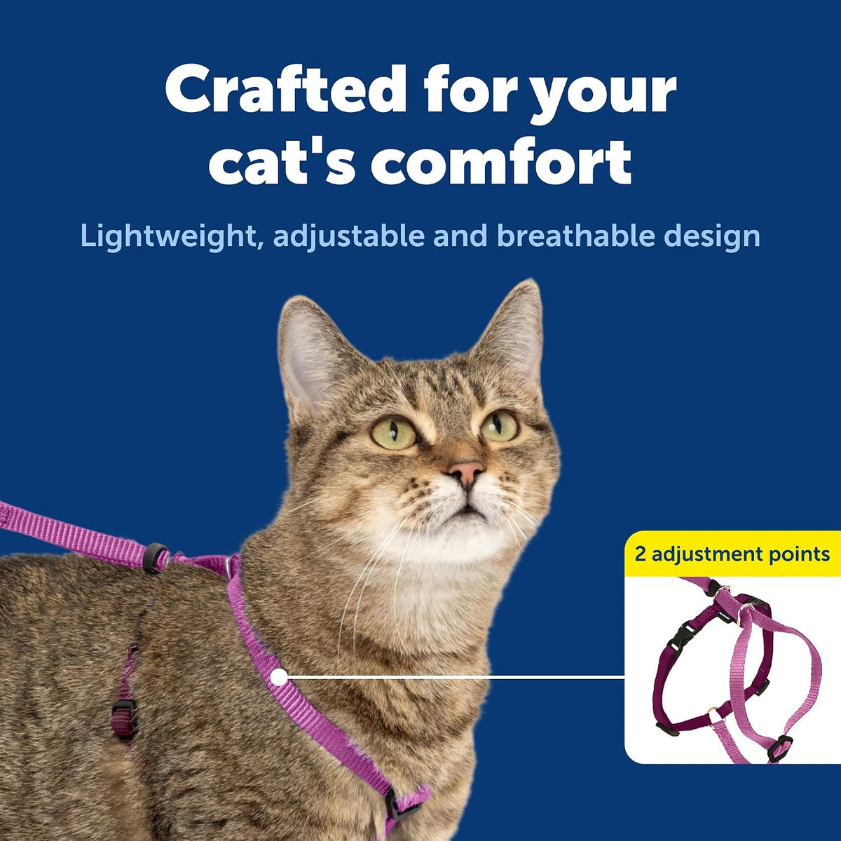 PetSafe Come with Me Kitty Harness and Bungee Cat Leash, Dusty Rose, Small