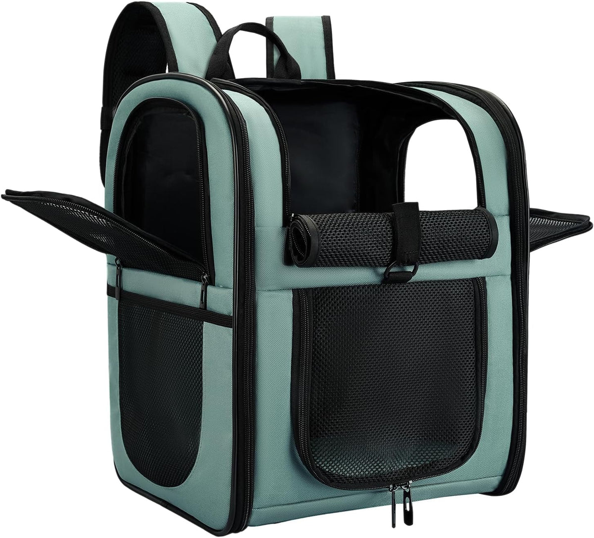 Apollo Walker Cat Backpack Carrier, Support Frame, 16 lb Weight Capacity