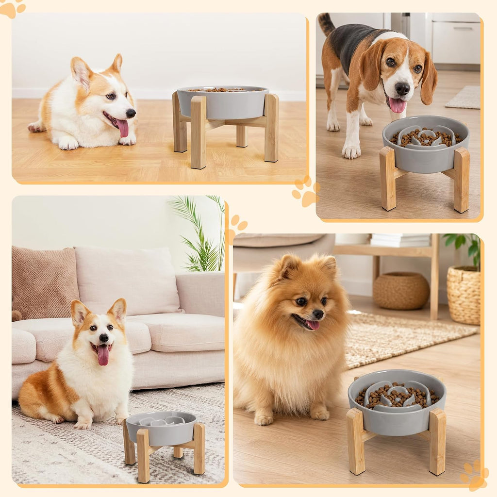 Elevated Slow Feeder Dog Bowl, 6.7" Ceramic Maze Dog Bowl with Stand
