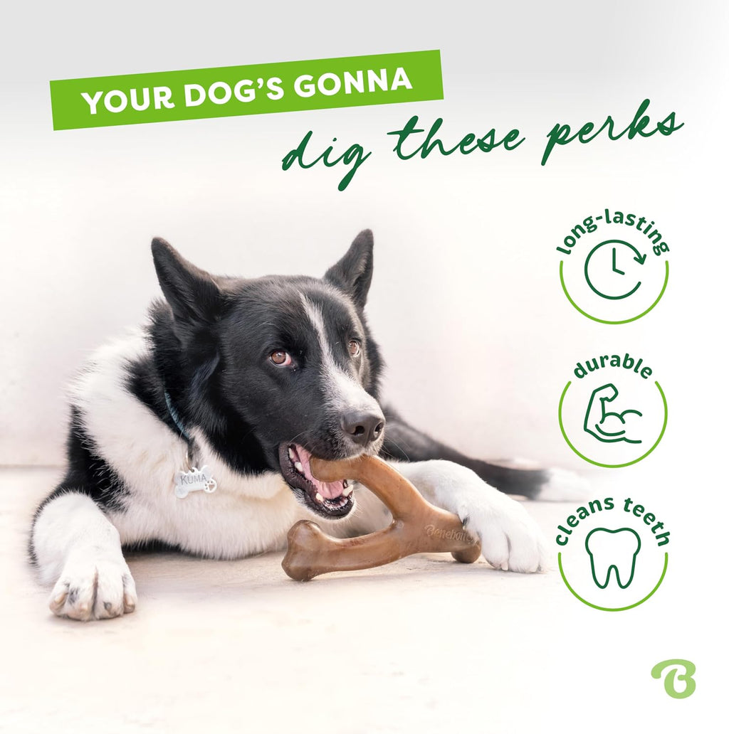 Benebone 30-Pack Wishbone Dog Chew Toy for Aggressive Chewers, Large
