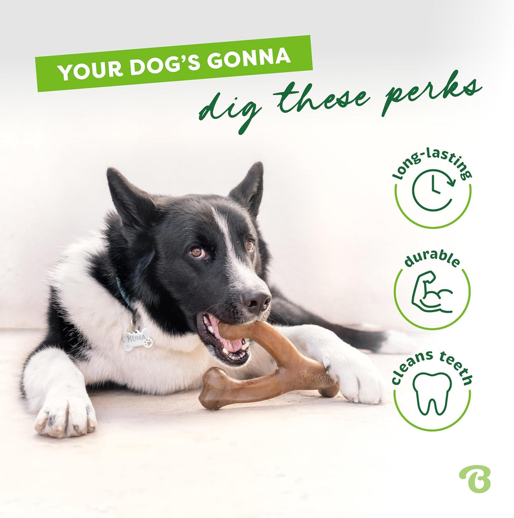 Benebone 7-Pack Dog Chew Toys for Aggressive Chewers, Dog Bones, Medium | Durable, Multipack, Super Chewer, Made in USA, Dog Bones, Long-Lasting, Keeps Them Busy