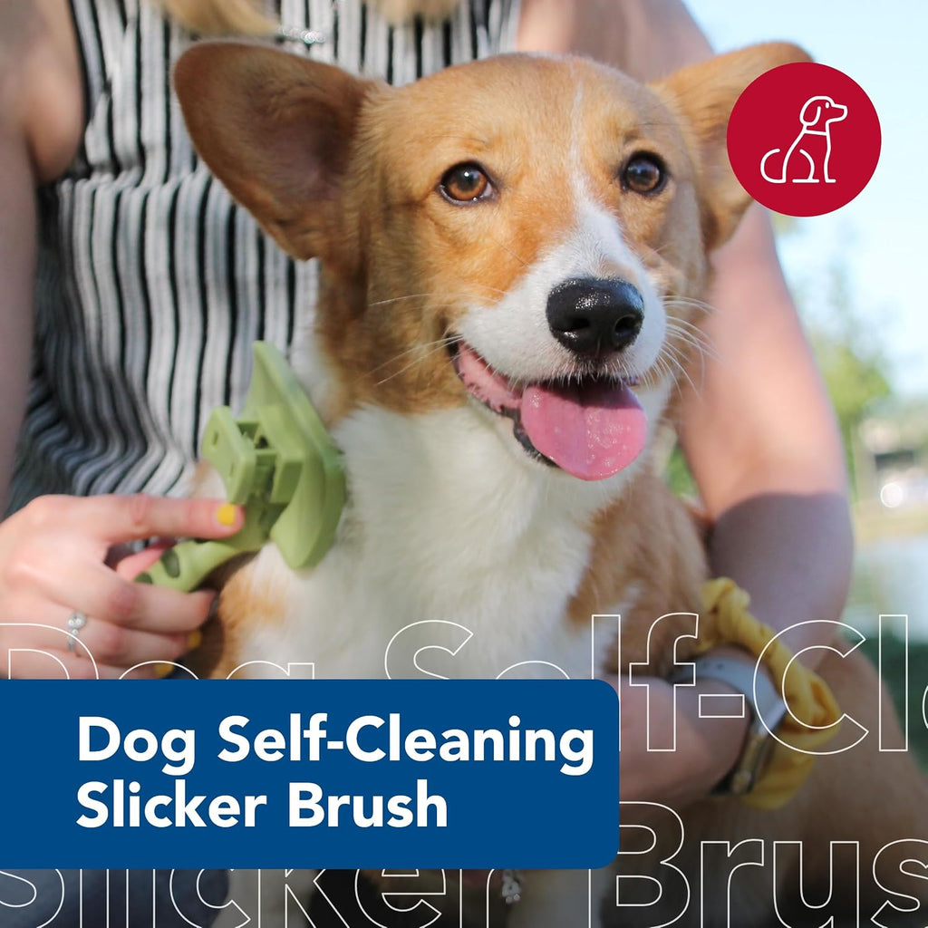Coastal Pet Safari Dog Self-Cleaning Slicker Brush - Dog Deshedding Brush - Prevents Mats and Tangled Hair - For Dogs with Short or Long Hair - Medium - 4.25" x 4.06" 