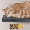 Cat Wall Shelf (Long) - Indoor & Outdoor by Pryde Pets