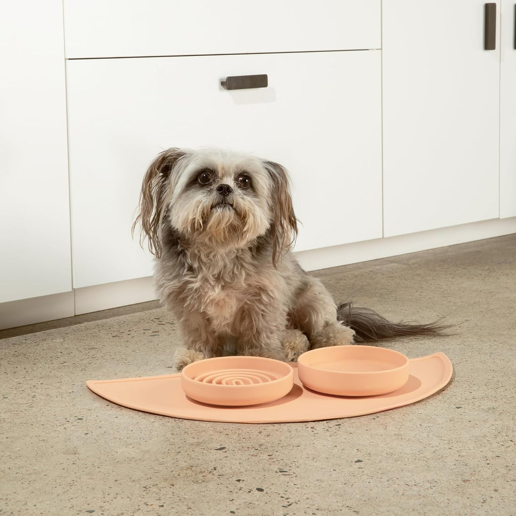 Slow Feeder Dog Bowl - Silicone Dog Bowl, Small, 6" x 1.25" - Blush