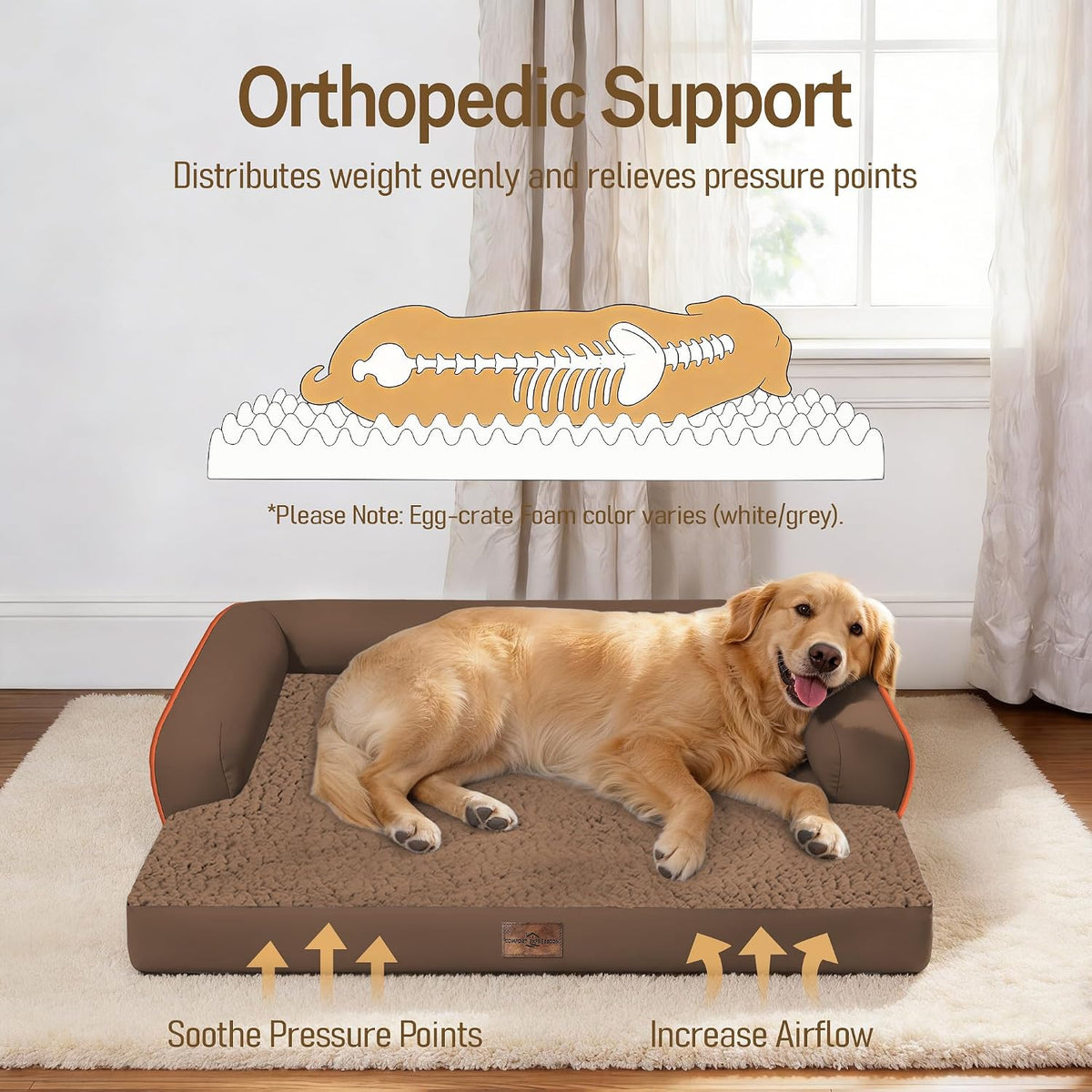 Comfort Expression Orthopedic XL Dog Bed for Large and Extra Large Dogs