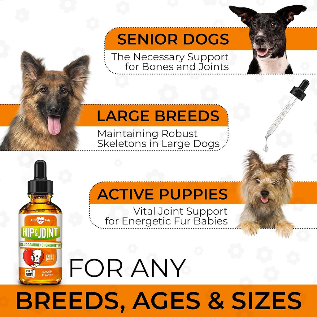 Glucosamine for Dogs + Chondroitinin in Liquid Form – Hip & Joint Supplement for Dogs to Care for Muscular System – Effective Dog Health Supplies with Natural Bacon Flavor – All Breeds Support – 2 oz