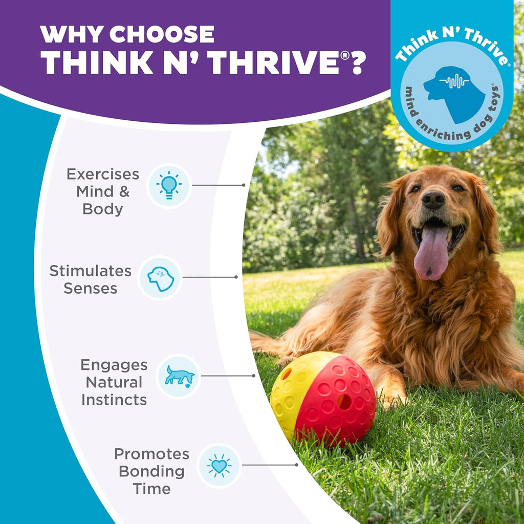 Outward Hound Nina Ottosson Treat Tumble Dog Toy Puzzle Ball, 5.8" | Level 1 Easy, Food-Dispensing Ball, Holds 1 Cup Kibble or Treats, No BPA, Interactive Enrichment, Dogs & Puppies