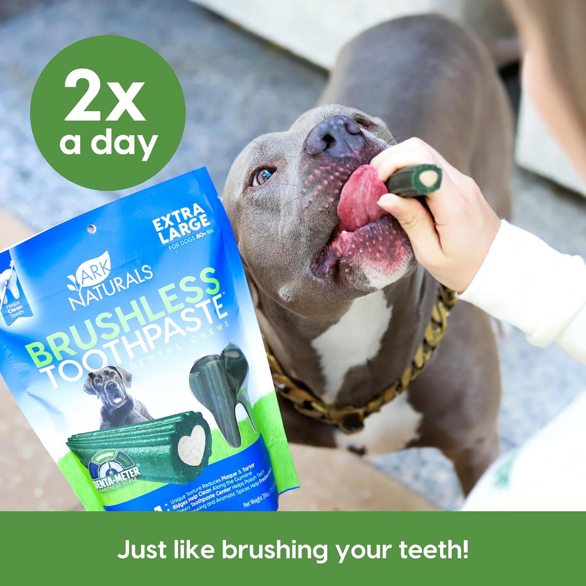 Ark Naturals Brushless Toothpaste Dog Dental Treats - XL Breeds (12 ct), 24 Ounce (Pack of 6)