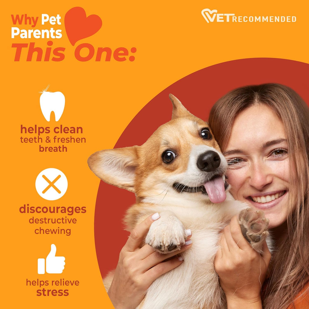 Nylabone Strong Chew Original Bone Dog Toy Made with Real Chicken | Dog toys for aggressive chewers, small dog chew bones up to 25 lbs, helps clean teeth and freshen breath