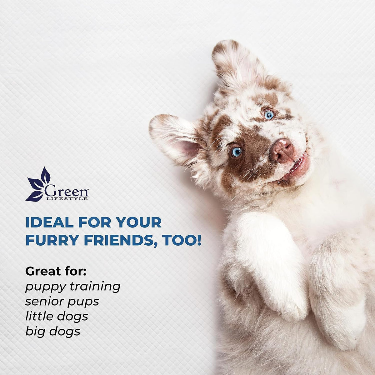 GREEN LIFESTYLE Underpads - Training Pet Pee Pads for Dogs, Cats - Pads for Adults, Seniors and Children - Ideal for Incontinence Protection (Pack of 50 - 30x36)