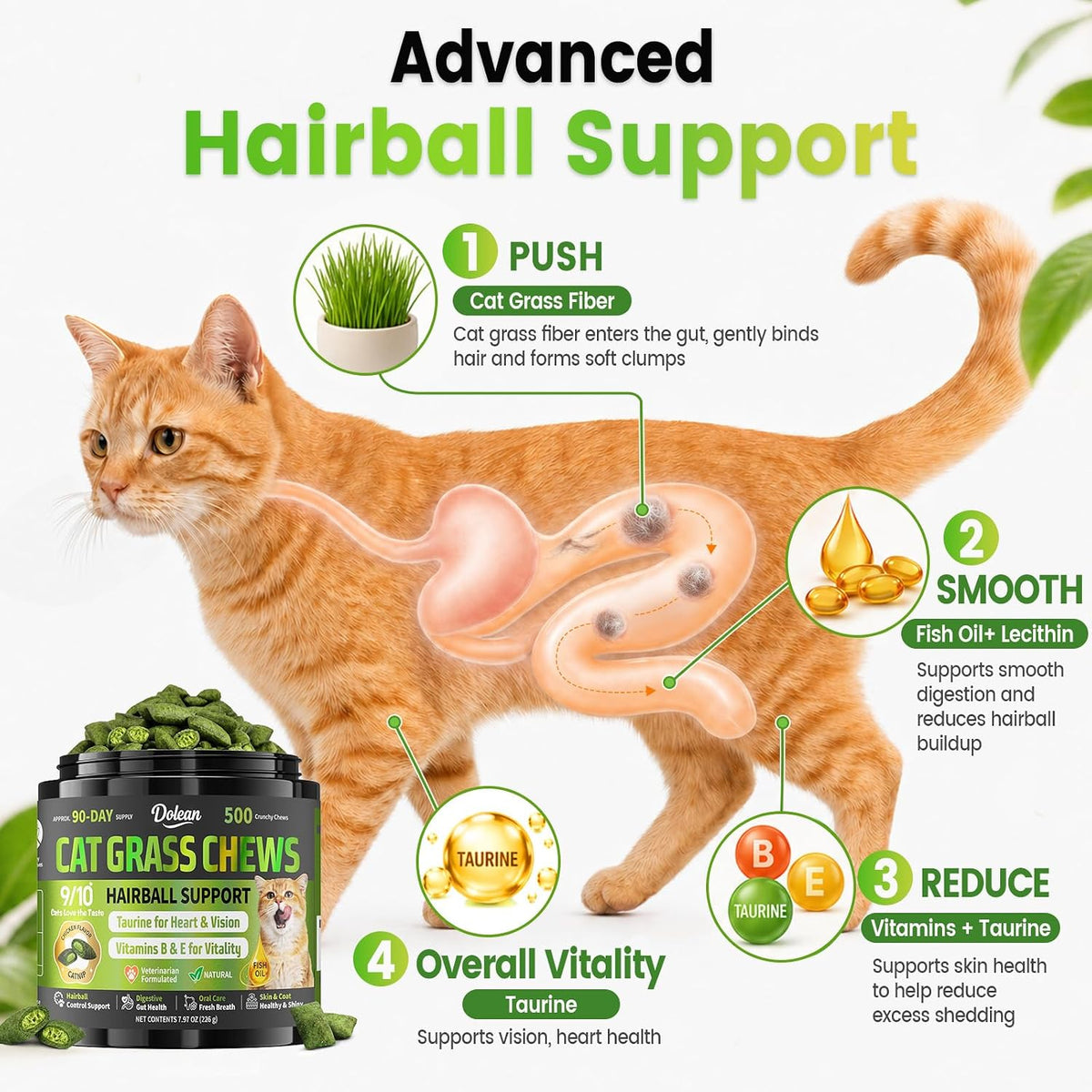 Cat Grass Treats, Hairball Treatment for Cats, for Indoor Cats, 500 Chews