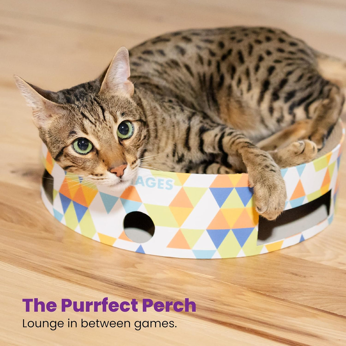 Catstages Bowl Track Scratcher 3-in-1 Ball Track, Scratcher, Lounger, 13.8"