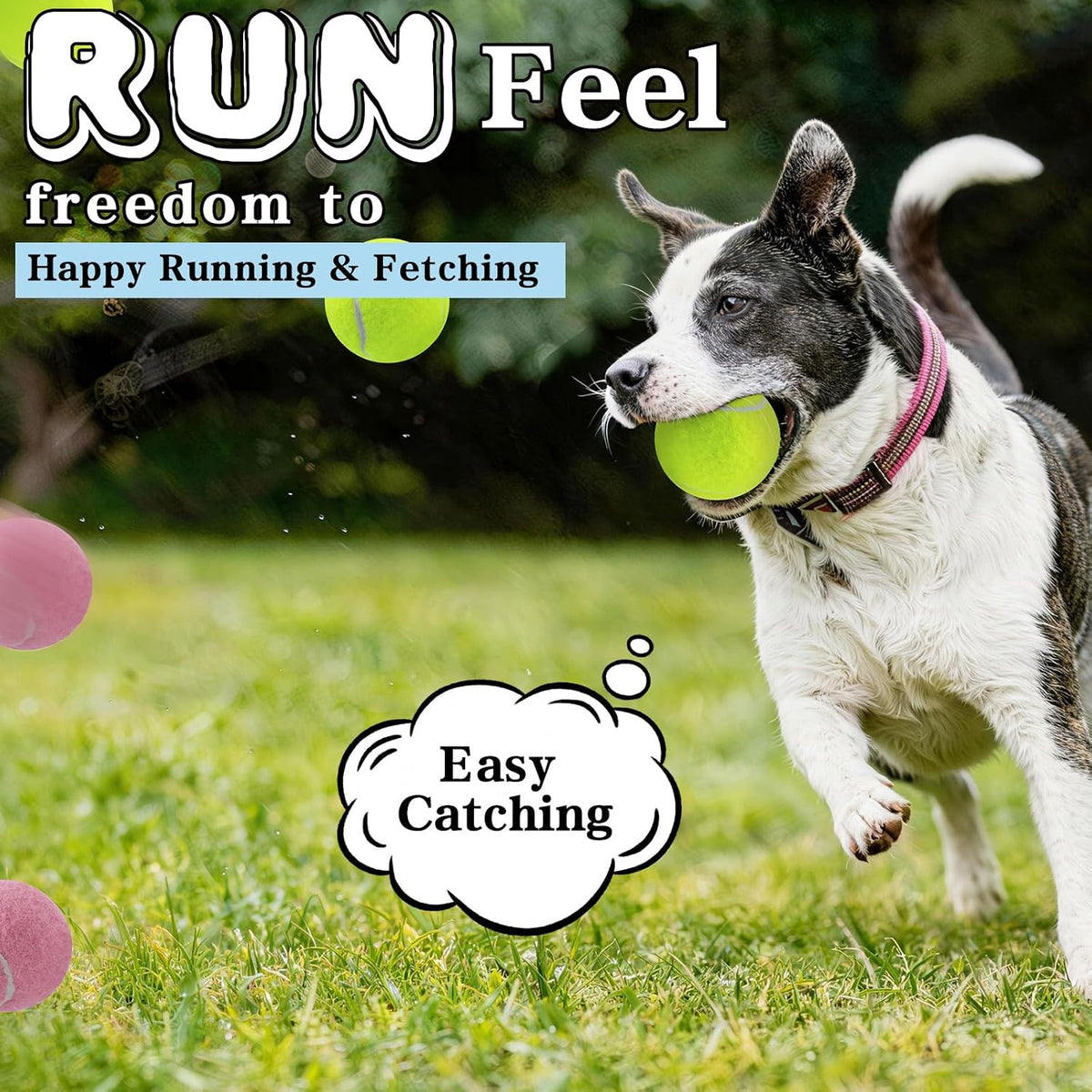 Magicorange Tennis Balls for Dogs,Colorful Easy Catching Dog Balls,16 Pack | Bright Yellow/Pink/Orange/Blue Dog Playing Balls, Easy to Spot And Fetch, with Mesh Bag for Training and Outdoor Fun
