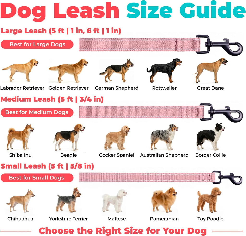 Best Pet Supplies Voyager Nylon Dog Leash - Pink, Large