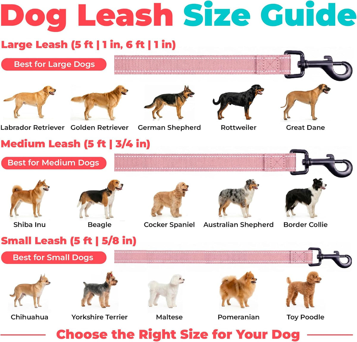 Best Pet Supplies Voyager Nylon Dog Leash - Pink, Large