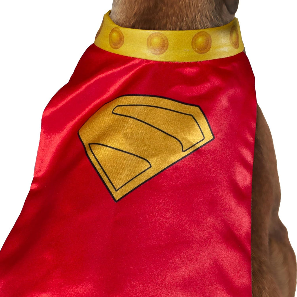 Rubies DC Superman Movie (2025): Krypto Pet Cape & Collar for Dogs or Cats, Extra Large