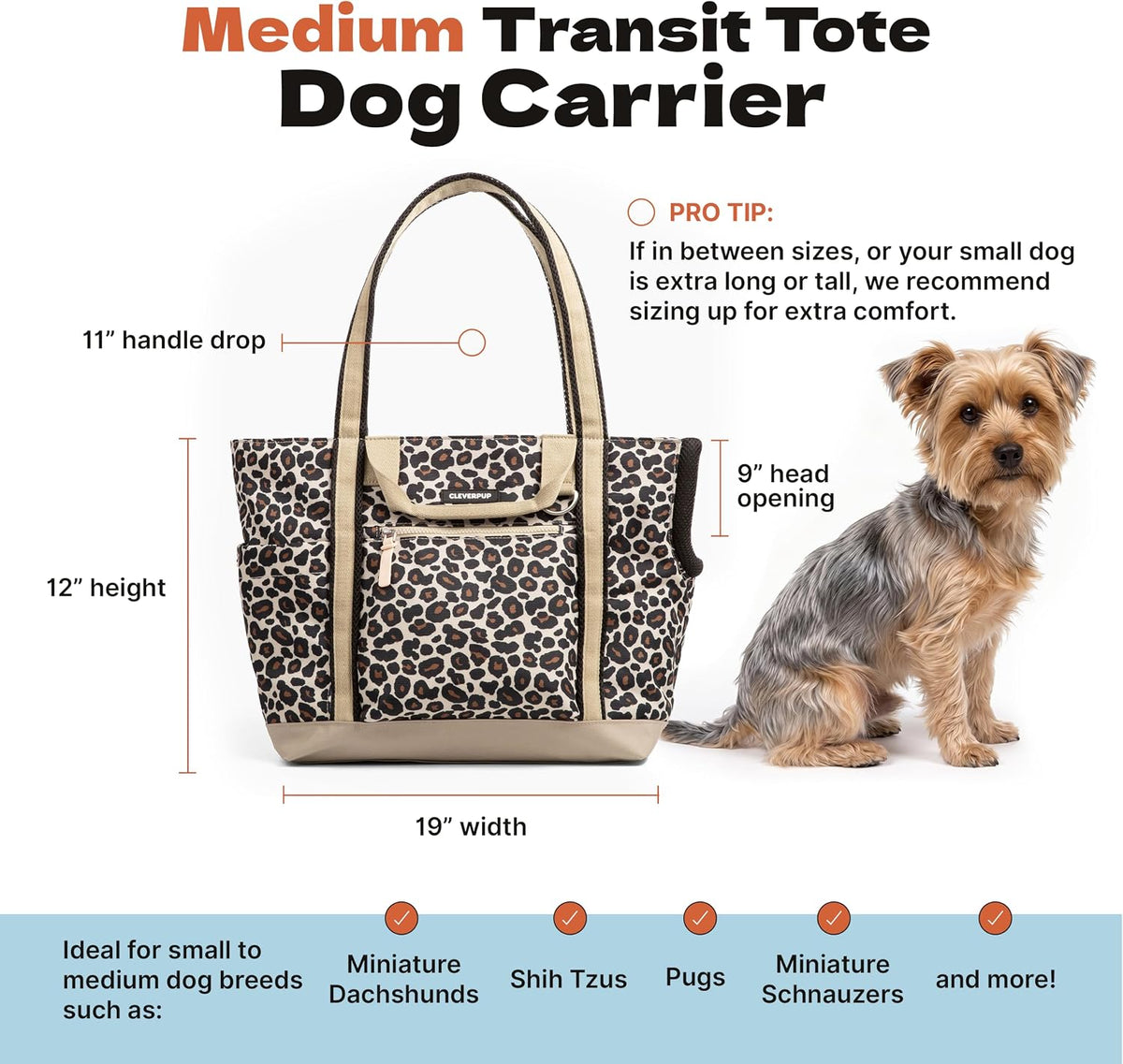 Cleverpup Transit Tote Dog Carrier 4-Piece Set - Medium, Leopard