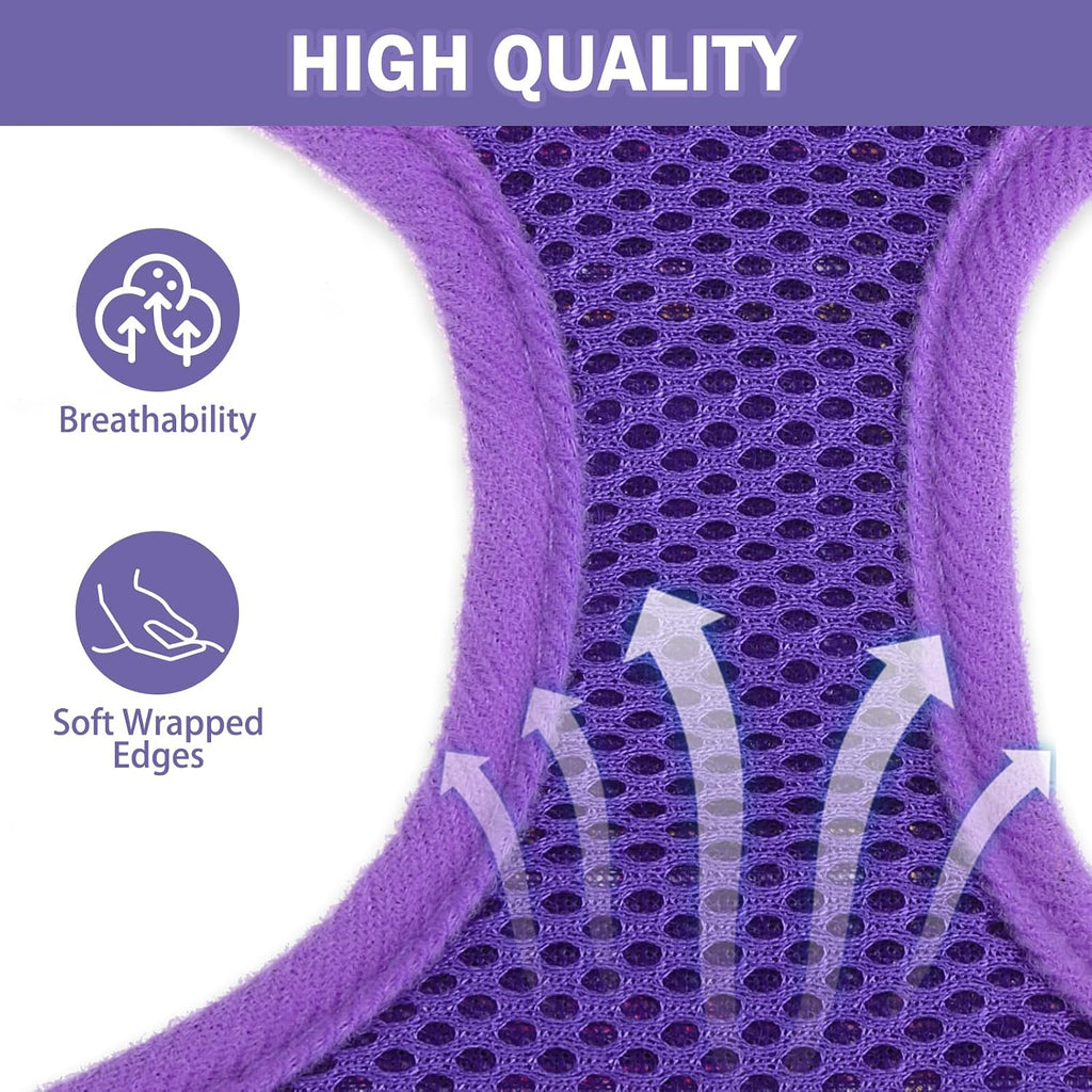 SCENEREAL No Pull Dog Harness with Leash Set for Small Dogs
