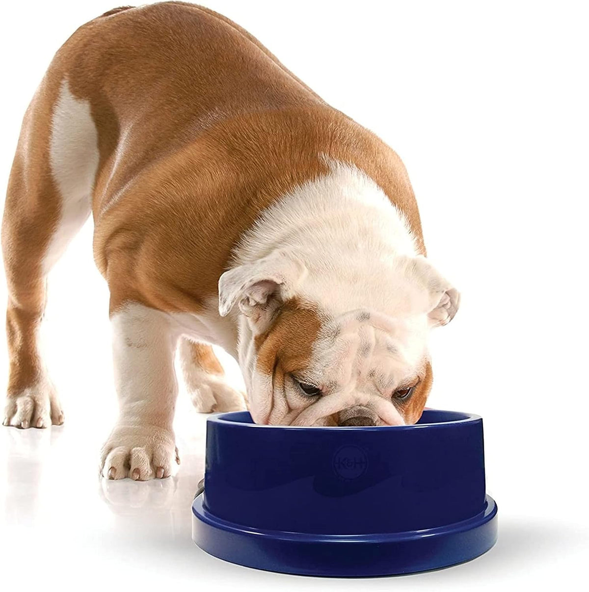 K&H Dog Water Bowl, Coolin' Pet Bowl, Ice Cold Pet Dish, 96 Ounces | Summer Cooling Water Bowl for Small, Medium & Large Dogs & Cats, Stays Cool and Fresh, Insulated BPA-free, Indoor Outdoor 