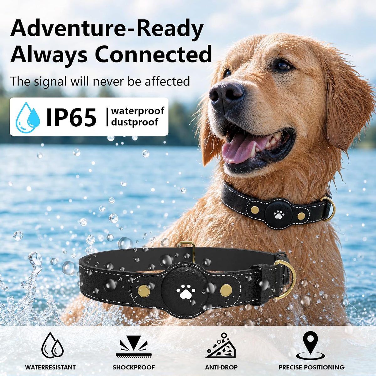 GPS Tracker for Dogs – Smart Dog Collar & Pet Tracker with Real-Time Location, No Monthly Fee, Unlimited Range (iOS & Android) – Fits Small to Large Dogs(Locator Included)