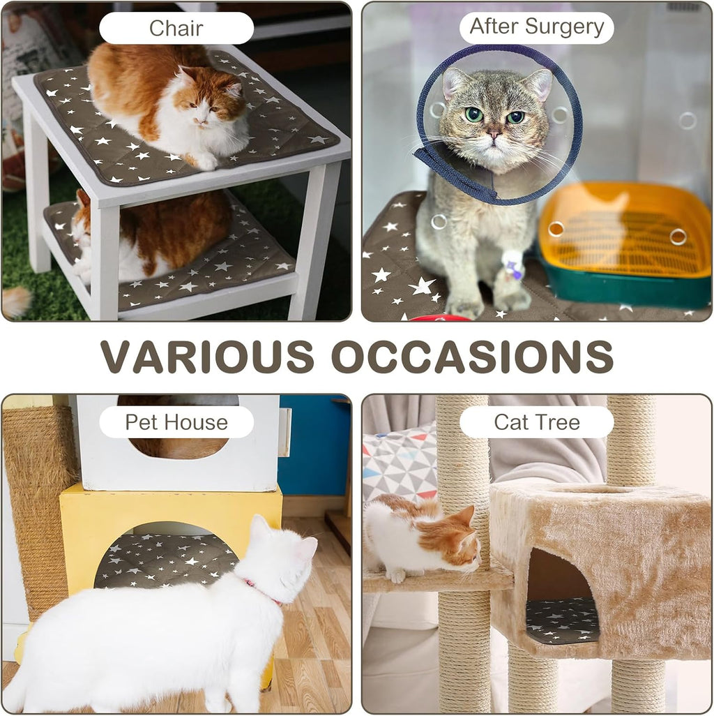 Namalu 4 Pack Self Warming Cat Bed, Brown, 12'' X 12'', Square