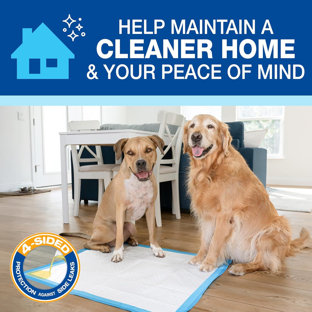 Four Paws Wee-Wee Superior Performance X-Large Dog Pee Pads, 14 Count | Puppy & dog potty training pads, housebreaking supplies, xl puppy pads, pet supplies, 24-hour floor protection, 28" x 34"