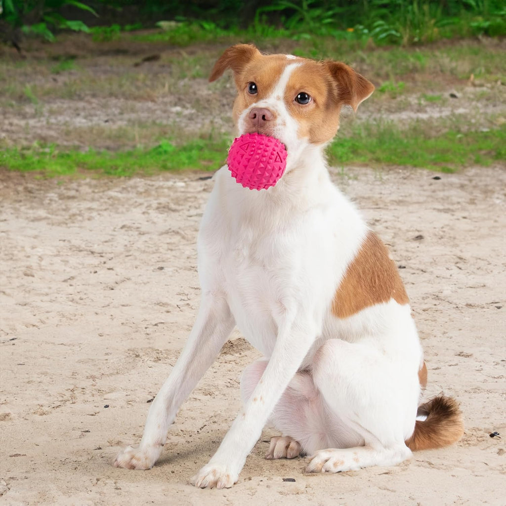 Best Pet Supplies Squeaky Dog Toys with Soft Durable Fabric for Small, Medium and Large Pets Interactive Toy for Indoor Play, Supports Active Biting and Play - Fuchsia, Large