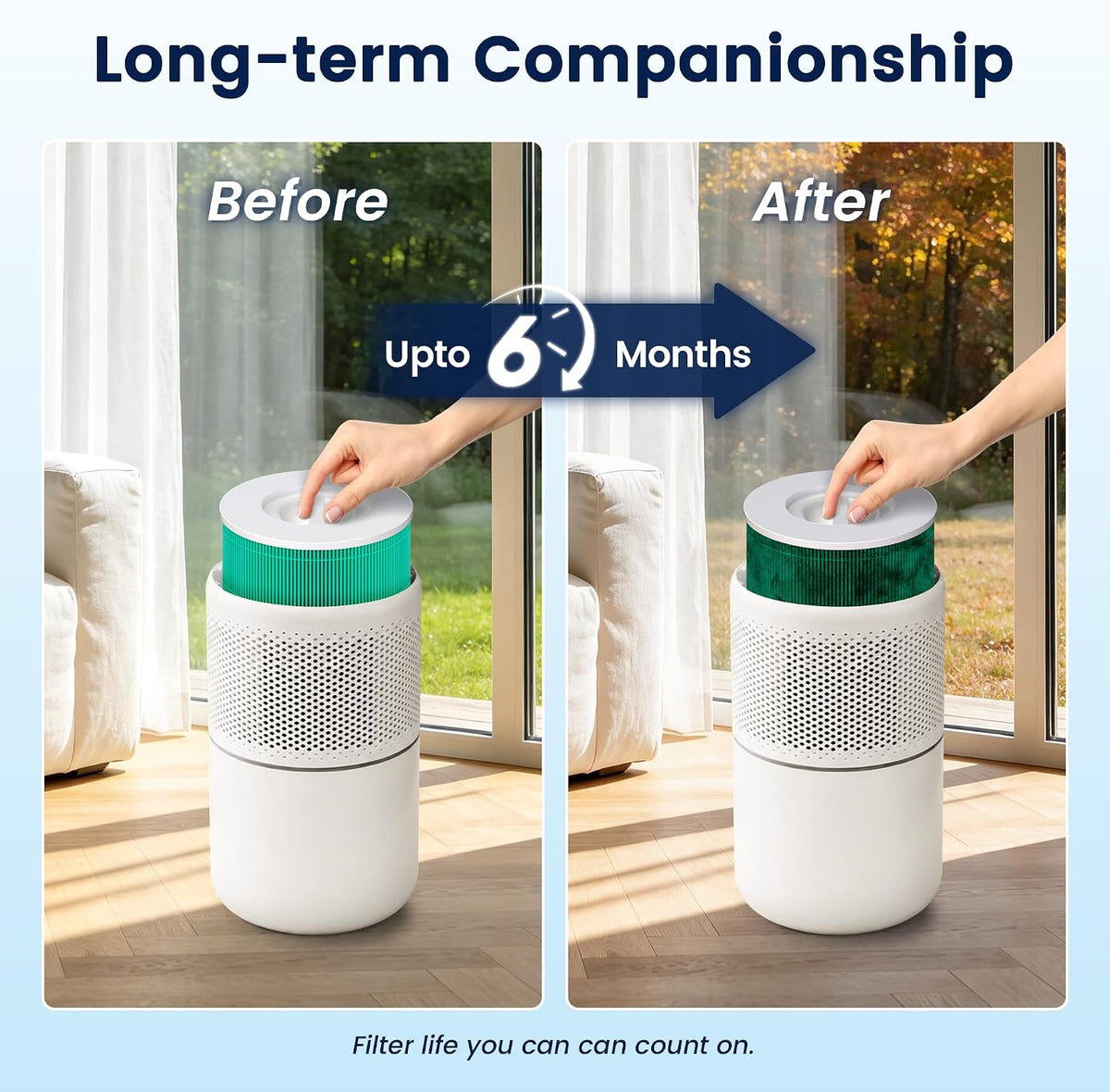 Core 300 Toxin Absorber Replacement Filter for LEVOIT Core 300 Core 300-P Core 300S Core 300S-P Air Purifier for Home Pets Bedroom, 3-in-1 High Efficiency and Activated Carbon, Core 300-RF-TX, 2 Pack