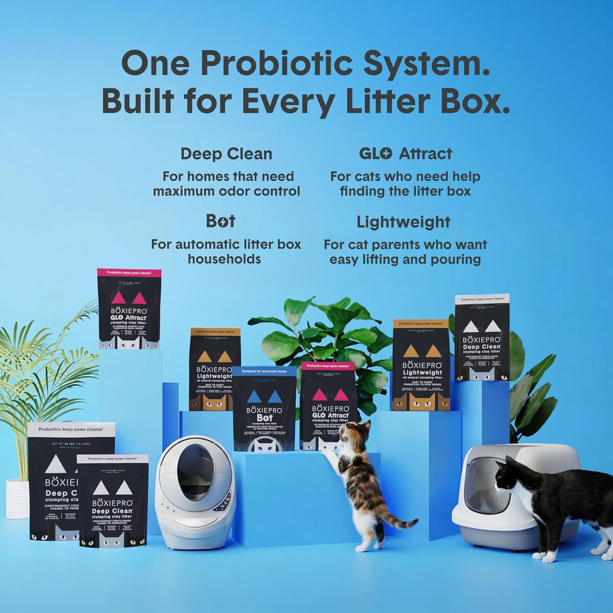 Boxie Probiotic Cat Litter, 40 Day Control, Clumping Clay Kitty Litter, Odor Eliminating Probiotics, Dust-Free, No Fragrances No Fillers, 16 lb