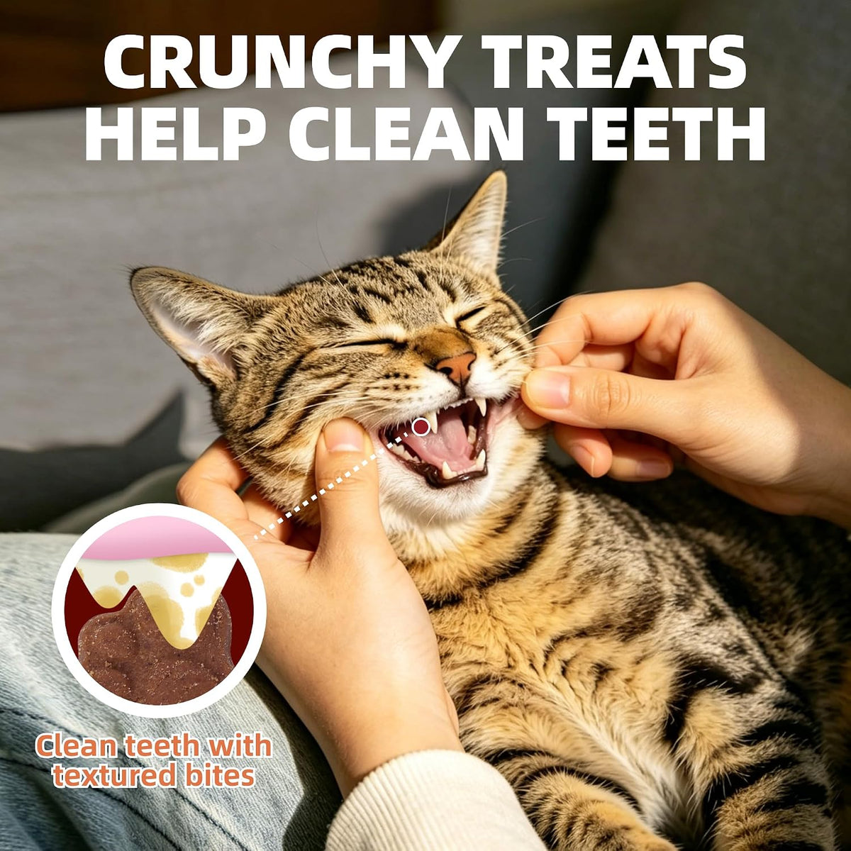 Just Try Skin & Coat Support Cat Treats,Omega 3 Salmon Oil