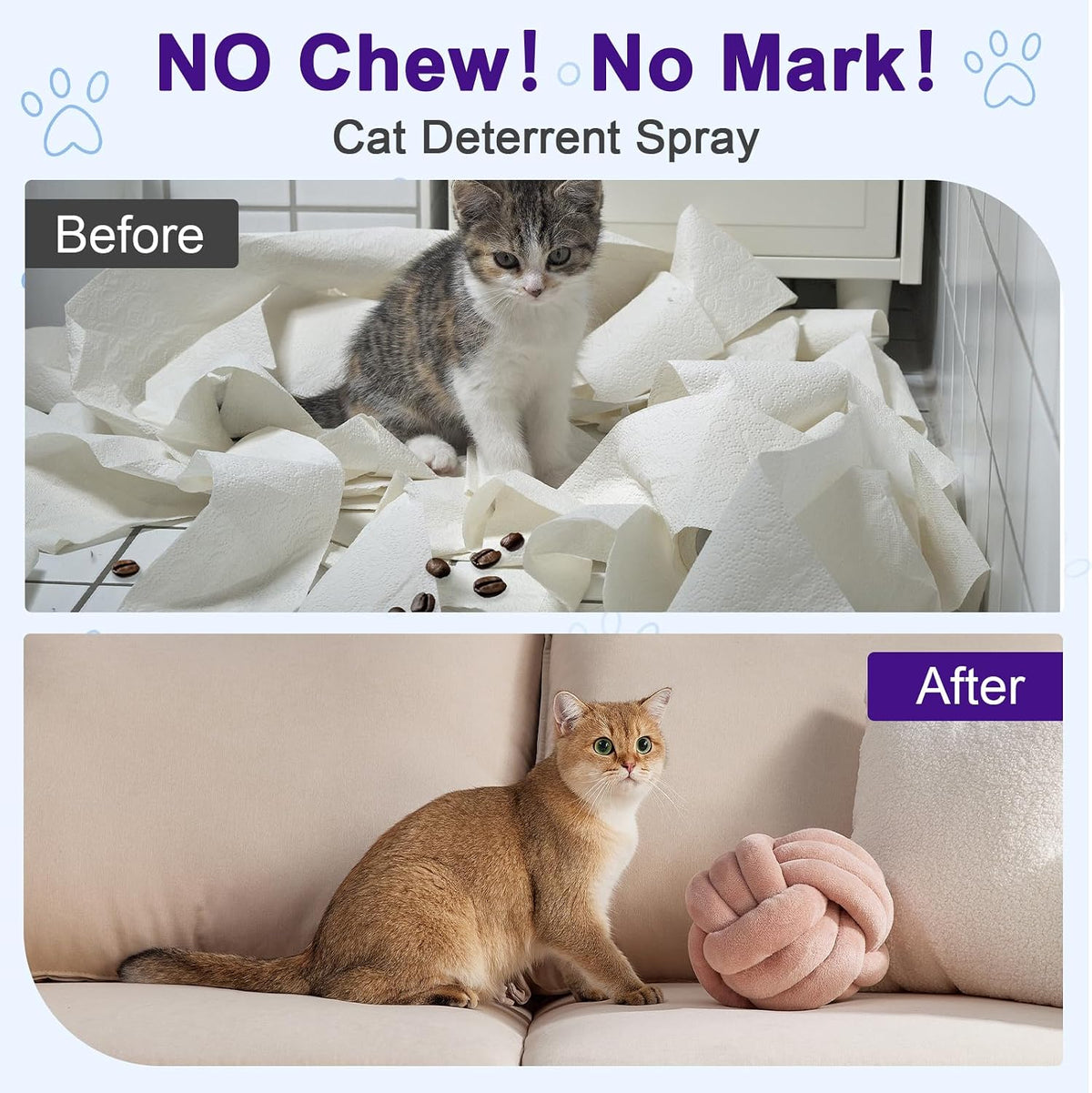 Cat Deterrent Spray, Plant-Based Cat Repellent Spray to Protect Furniture, Anti-Scratch & Chewing Control for Sofas, Carpets & Plants, Indoor & Outdoor Cat Training Aid (1 Pcs)