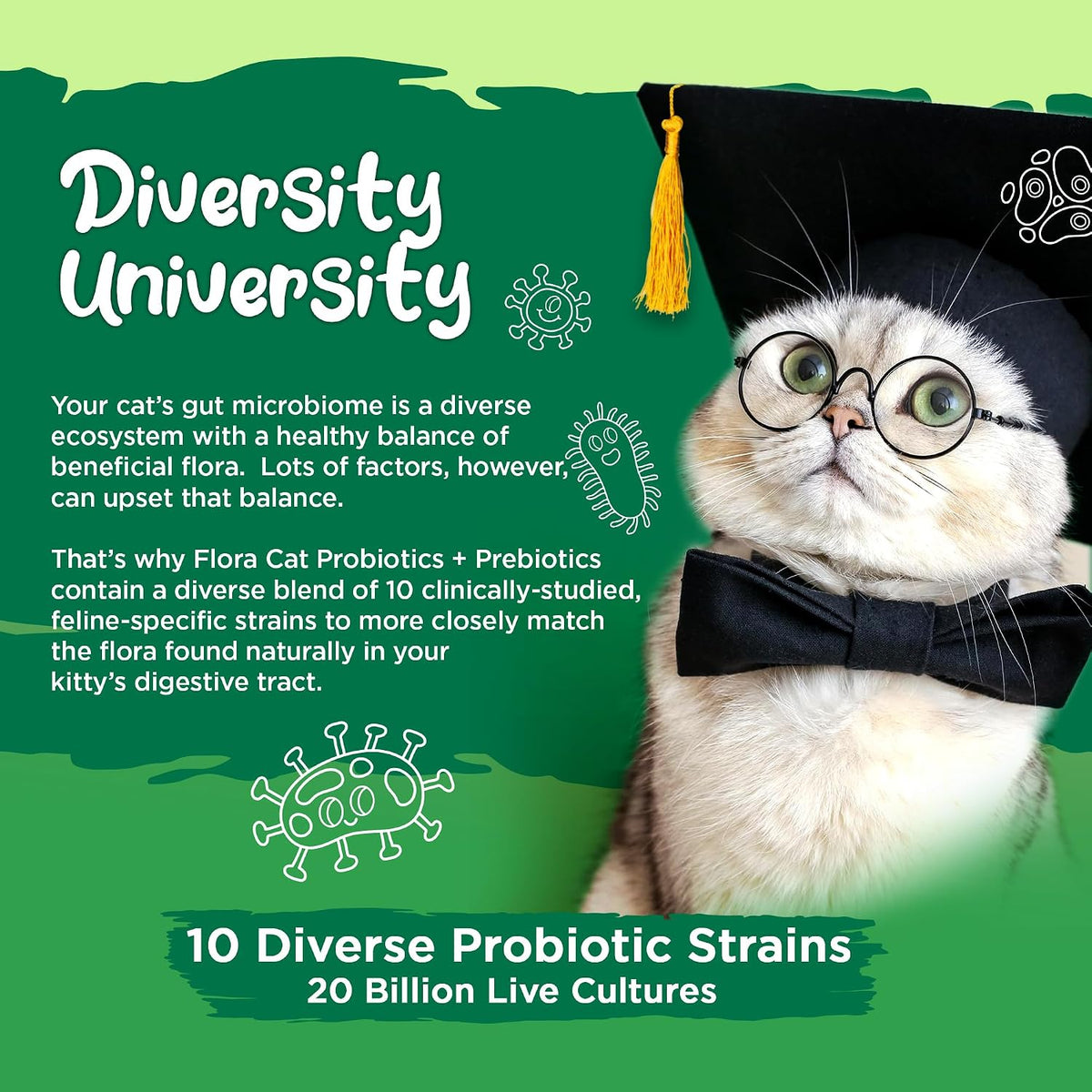 Vital Planet - Flora Cat Probiotic Powder Supplement with 20 Billion Cultures and 10 Diverse Strains High Potency Probiotics for All Cats for Feline Digestive and Immune Support 30 Scoops 3.92 oz