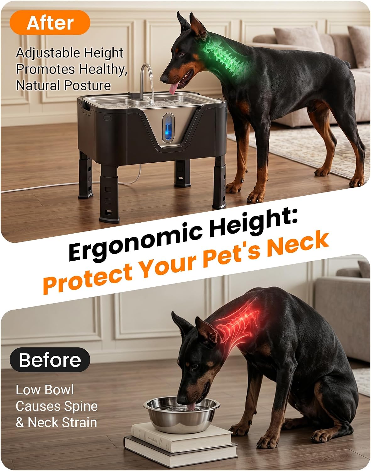 4.75Gal/ 18L Large Dog Water Fountain Elevated Dog Water Bowl & 3 Filters