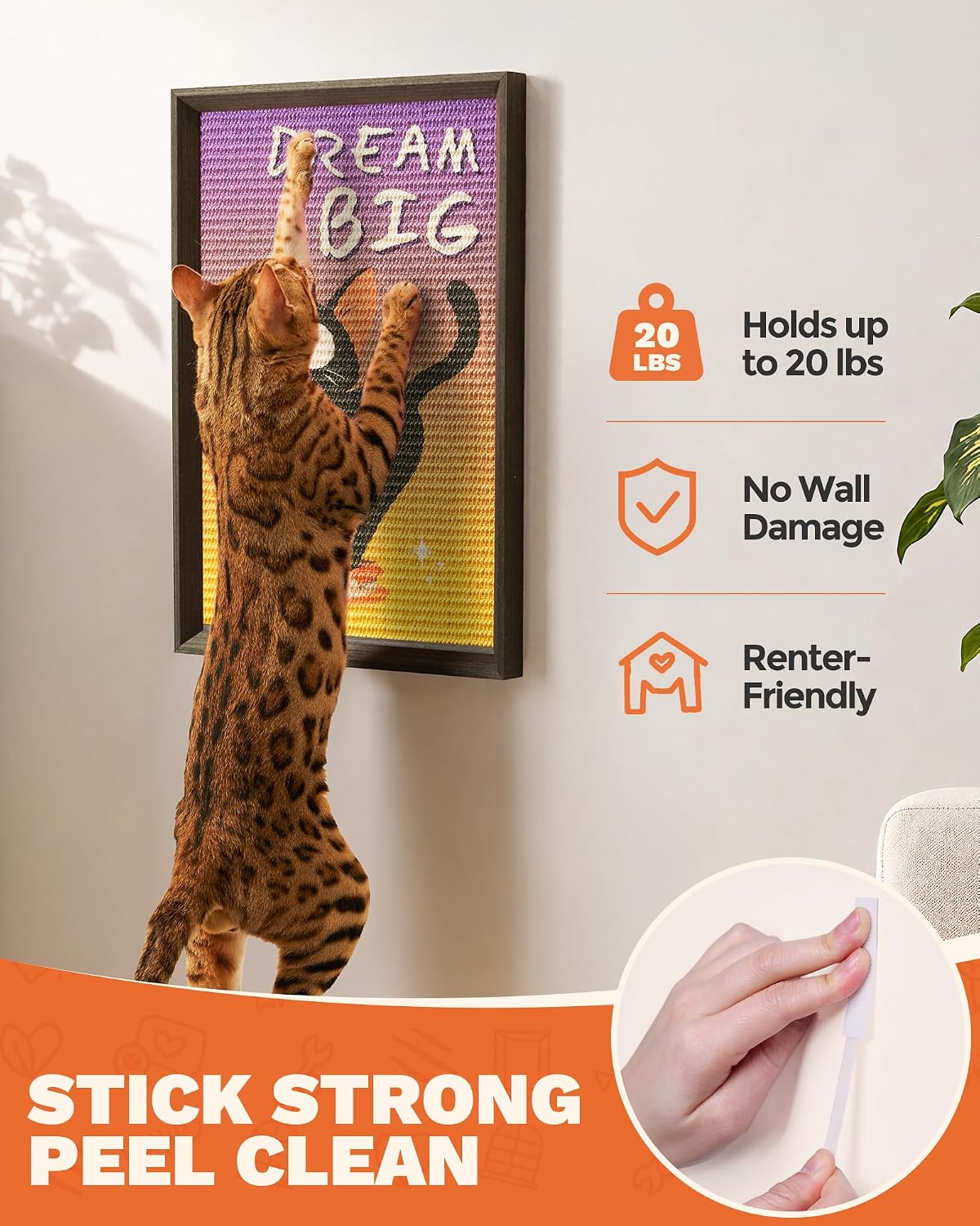 Decorative Wall Art Cat Scratcher Funny Cat Quote Sisal Scratch Pad
