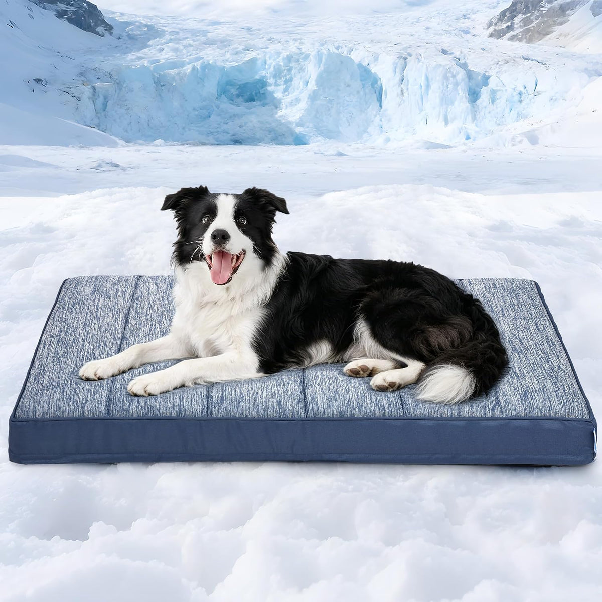 Cooling Dog Bed for Large Dogs, QMAX>0.5 Waterproof Pet Beds
