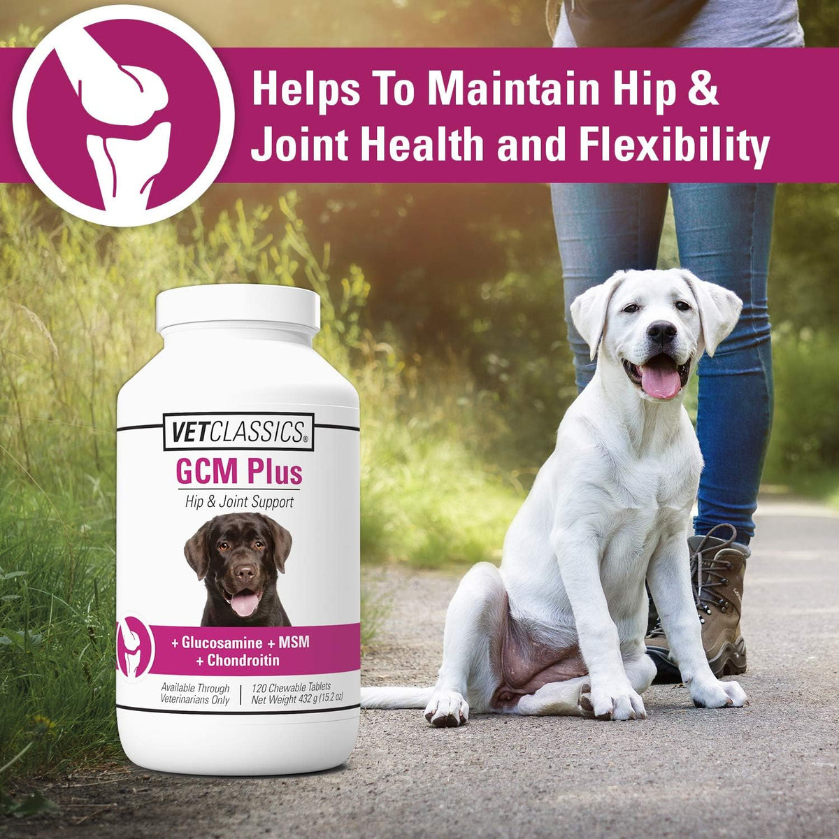 Vet Classics GCM Plus Hip & Joint Support Supplement for Dogs - 120 Ct